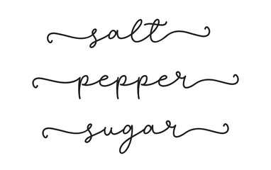 SALT, PEPPER, SUGAR. Vector text spice isolated on a white background. Kitchen ingredient for food and cooking: sugar, salt and pepper. Typography script words salt and sugar.