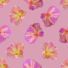 Pink flower seamless pattern. Pink flower texture.