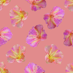 Pink flower seamless pattern. Pink flower texture.