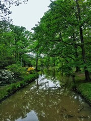 Fototapeta na wymiar river in the park