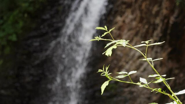 Spellful waterfall with a sparkling flow on a steep stone mountain on a sunny day