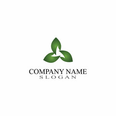 Leaf Nature Logo Design Template Vector