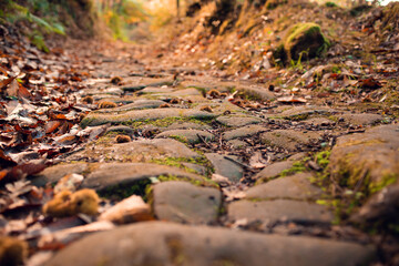 Roman road from Barcena From Pie de Concha to Pesquera