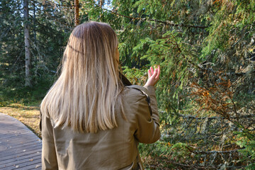 A woman traveler walks through the forest. Beautiful nature landscape in woods. Hiking journey on tourist trail. Outdoor adventure. Travel and exploration. Healthy lifestyle, leisure activities