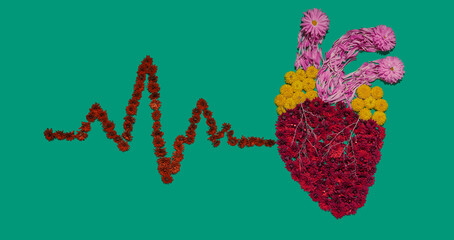 Anatomy model of human heart with heart rate graph , flower installation on green background. Part...
