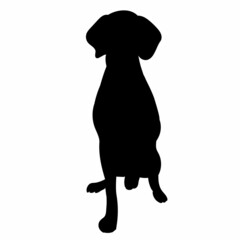 black silhouette of a dog on a white background