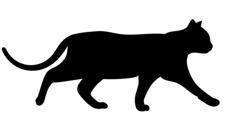 black silhouette of a cat on a white background, vector, isolated