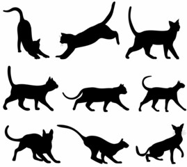 black silhouette cat set on white background, vector, isolated