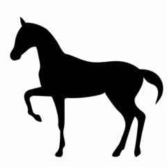 black horse silhouette, vector, isolated