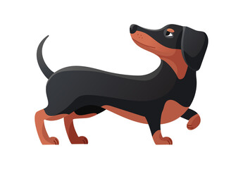 Dachshund curled his paw. Dachsand pose, cartoon dog flat icon vector illustration