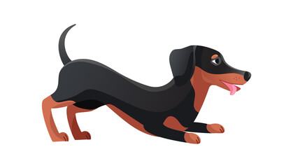 Dachshund wants play. Teckel long sausage flat icon vector illustration