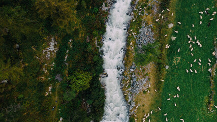Aerial view of mountain river in the Italian Alps, directly above. Natural background.