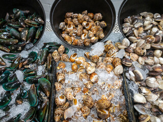 Group of the fresh mussels, Mercenaria mercenaria (quahog), babylonia areolata in the plastic tray with crushed ice.