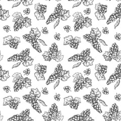 Hand drawing seamless pattern with grape in monochrome sketch engraved style isolated on white background. Design for branding textile or market cover, banner, cloth. Botanical vector illustration.