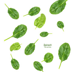 Fresh flying spinach leaves on a white background. Healthy food concept. Creative layout. Selective focus. Collage.