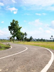 road in the park
