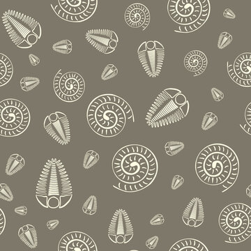 Ammonite trilobite vector seamless pattern background. Hand drawn spiral-form shell cephalopod and arthropod ribbed fossils. Brown off white backdrop.Extinct marine predators. Repeat for education