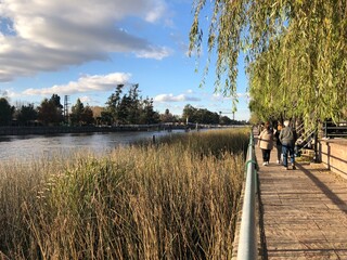 Paseo por el r&iacute;o en delta tigre