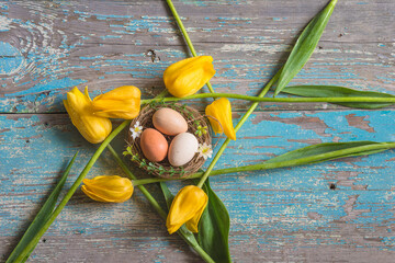 Beautiful easter holiday greeting card; Birdnest with eggs, yellow tulips on old blue paint wooden background; top view