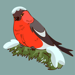 Bird bullfinch on a branch . Christmas card with bullfinch and snow. 