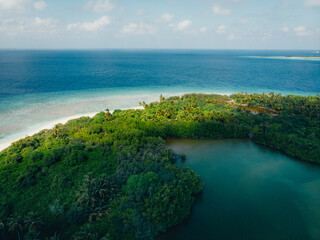 Obraz premium palm beach with mangrove in Maldives 