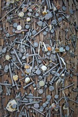 Power pole full of old nails from posting signs.