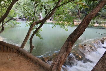 Very Amazing Nature Moments