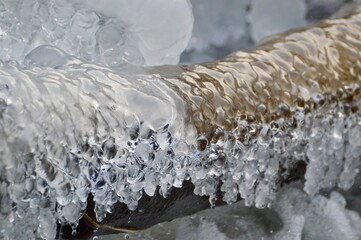 Icy Log