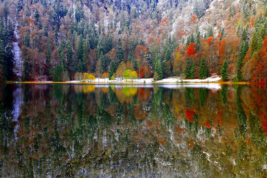 Feldsee