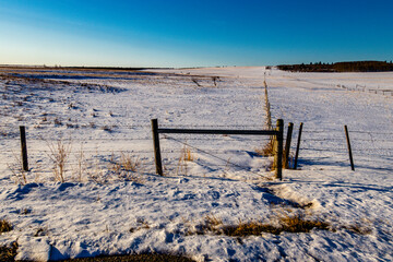 Fence line in a snowy field. Springbank, Alberta, Canada