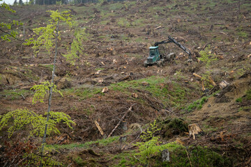 Massive deforestation in Ciucas Mountains, Romania. Situated in Europe, Ciucas mountains are part...