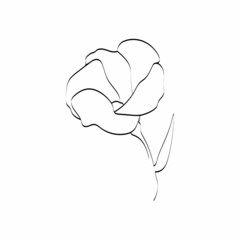 A flower drawn in one continuous line. One continuous line. Abstract flower. Vector illustration is suitable for posters, wall art, printing, cover design. The art of one line.