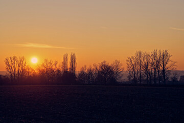 Nice evening landscape with trees in silhouettes. Dark soil of a field. Sunset. Copy space.