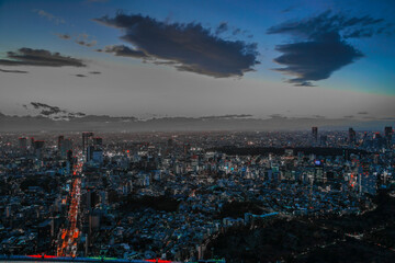 東京都心の夜景