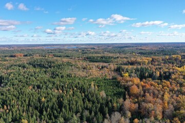 Beautiful fall from above