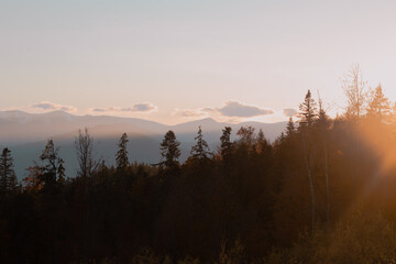 Carpathian Mountains Ukraine