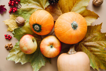 Autumn seasonal harvest. Fruits and vegetables background. Pumpkin, red apples, nuts and rowan berries. Autumn food background. Top view.