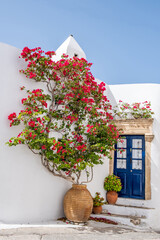 Greek island Kythira Chora, Greece. Blue wooden door and red bougainvillea on whitewashed wall.