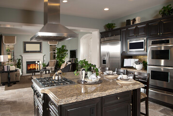 modern kitchen interior of new house