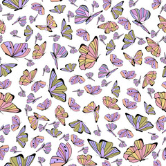 Butterfly pattern on white background