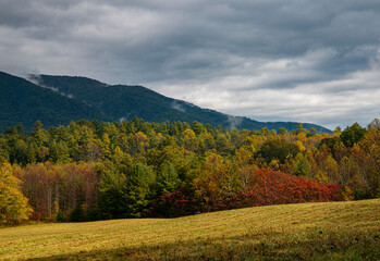 656-84 Autumn Color in Cades Cove