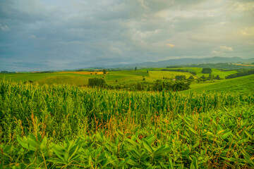北海道の草原と夕景