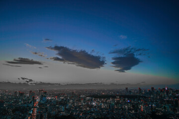 東京都心の夜景