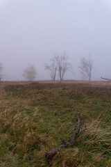 Landscape view from the mountain called Kahler Asten in the morning