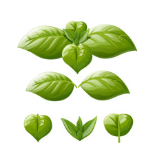 Green basil leaf. Spice greens, isolated on white background. Eps10 vector illustration.