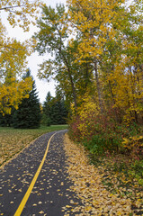 Fototapeta na wymiar A Hiking Trail in Autumn