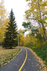 A Hiking Trail in Autumn