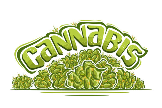 Vector logo for Cannabis, horizontal poster with illustration of ounce cannabis buds and cartoon isolated dried marijuana flower, unique brush lettering for green word cannabis on white background.