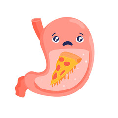 Stomach. Cartoon internal organs. indigestion. Heaviness in the stomach. Fast food. Gastrointestinal tract. Ill happy stomach. Stock vector illustration isolated on white background.