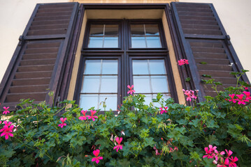 Fototapeta na wymiar Brown vintage window with colorful flowers and shutters, Austria
